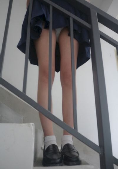 免费视频网页版